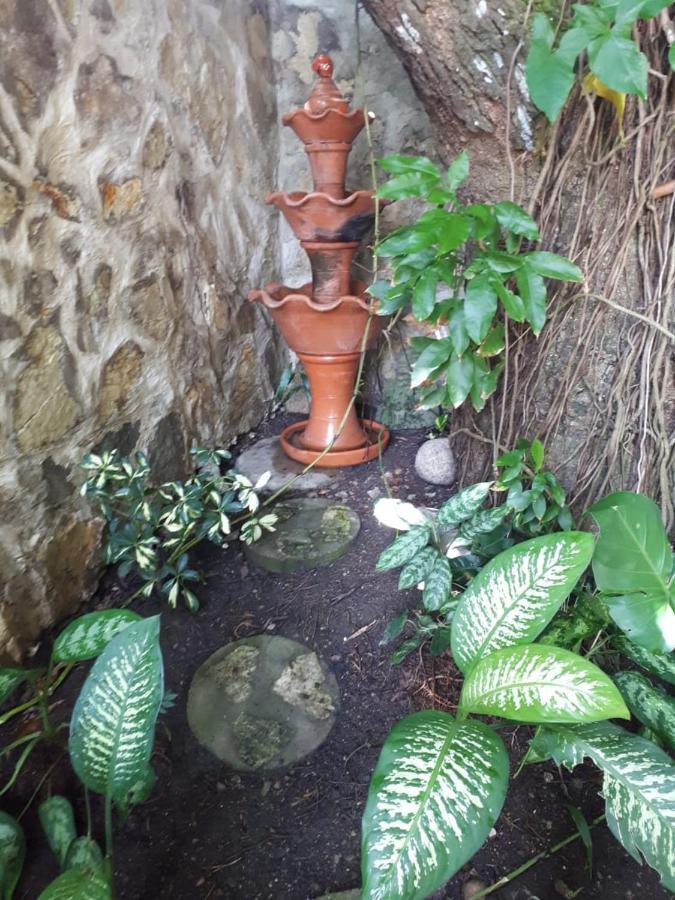 Hotel Alcaldeza - Garden House Santo Domingo Buitenkant foto